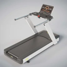 Профессиональная беговая дорожка DHZ X-8600