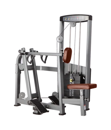 BRONZE GYM D-004_C Гребная тяга, фото 1