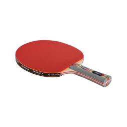 KRAFLA Champ 3.0 Ракетка для н/т, фото 1