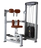 Изображение товара BRONZE GYM D-011_C Торс-машина