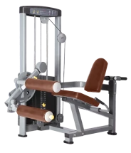 Сгибание ног сидя BRONZE GYM D-013