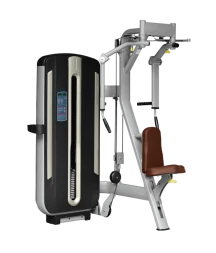 Грудь/Задняя дельта BRONZE GYM MNM-002A