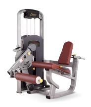 Разгибание ног сидя BRONZE GYM MV-014