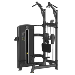 BRONZE GYM M05-008 Гравитрон