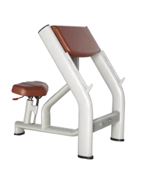 BRONZE GYM H-040A_С Скамья Скотта