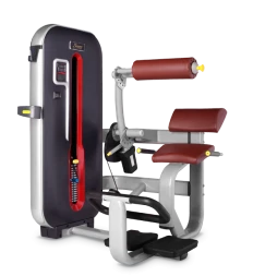 BRONZE GYM MT-009_C Разгибание спины