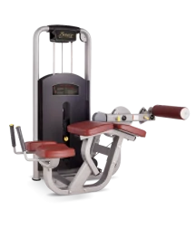 Сгибание ног лежа BRONZE GYM MV-013A