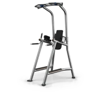 Турник-пресс-брусья Matrix Magnum A63C Iced Silver