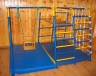 Изображение товара Детский спортивный комплекс Городок Babysport малыш-2  
