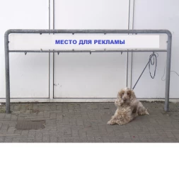 Рекламная парковка для собак ПС-05 