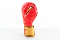 (Перчатки для бокса UFC PRO Thai Naga 14 Oz - красные), фото 2