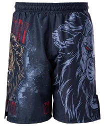 Шорты для MMA Lion SH-101, детские, фото 2