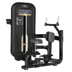 BRONZE GYM MZM-011 Торс-машина