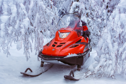 Снегоход РМ Тайга Варяг 550 V, фото 11