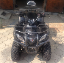 Квадроцикл ATV Beorn 200