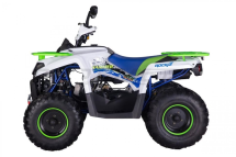 Квадроцикл ROCKOT Hammer 200 Premium Квадроцикл ROCKOT Hammer 200 Premium