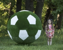 Топиари мяч Футбольный - газон Eco Топиари мяч Футбольный - газон Eco