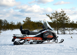 Снегоход SHARMAX SHP-1000 EFI, фото 11