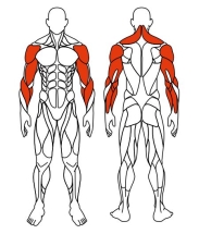 Рули (положение стоя) серый - Уличный тренажер - СТ 103-13