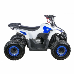 Квадроцикл детский YACOTA RAPOSA, фото 7