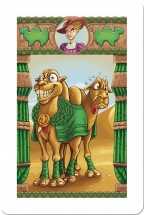 Camel Up! Camel Up!