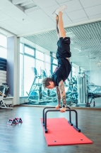 Брусья мобильные (паралетсы) Брусья мобильные (паралетсы)