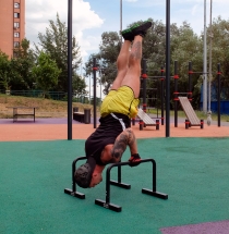 Брусья мобильные (паралетсы) Брусья мобильные (паралетсы)