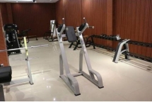 E-1047В Брусья-пресс (Vertical Kness Up/Dip) E-1047В Брусья-пресс (Vertical Kness Up/Dip)