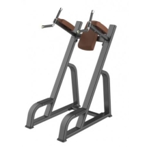 E-1047В Брусья-пресс (Vertical Kness Up/Dip) E-1047В Брусья-пресс (Vertical Kness Up/Dip)