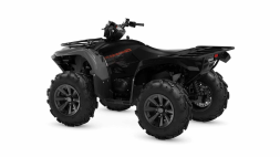 Квадроцикл YAMAHA Grizzly 700 EPS SE (ПСМ), фото 6