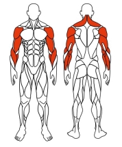 Рули (положение сидя) серый - Уличный тренажер - СТ 104-13