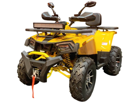 Квадроцикл MOTOLAND Wild Track X PRO 200 (баланс. вал), фото 1