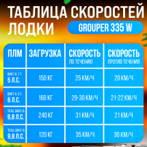 Надувная лодка НДНД Grouper 335W