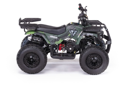 Квадроцикл MOTAX Grizlik X16 (PS, BW), фото 10