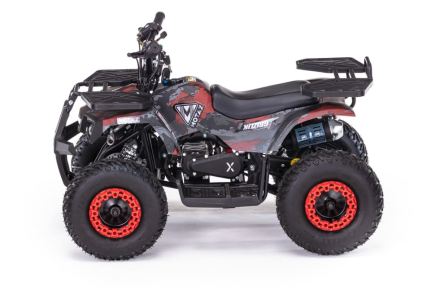 Квадроцикл MOTAX Grizlik X16 (PS, BW), фото 9