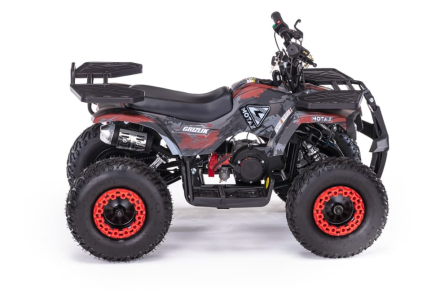 Квадроцикл MOTAX Grizlik X16 (PS, BW), фото 3