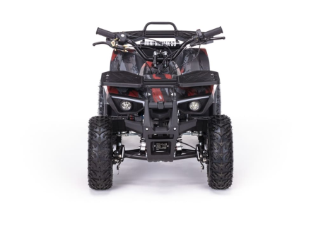 Квадроцикл MOTAX Grizlik X16 (PS, BW), фото 2