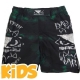 Шорты Bad Boy badshorts083