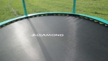 Батут с защитной сеткой (лестница в комплекте) Diamond Fitness Black Edition 8ft (244 см)