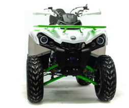 Квадроцикл MOTOLAND 200 Shark (2021 Г.), фото 5