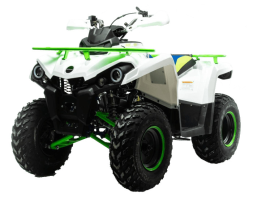 Квадроцикл MOTOLAND 200 Shark (2021 Г.), фото 1