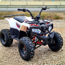 Квадроцикл YACOTA Fusion 125 Квадроцикл YACOTA Fusion 125