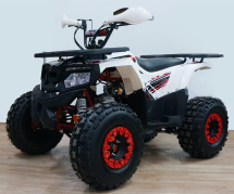 Квадроцикл YACOTA Fusion 125 Квадроцикл YACOTA Fusion 125