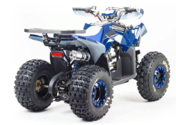 Квадроцикл MOTOLAND 125 Coyote (2021 Г.), фото 7