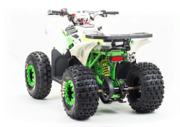 Квадроцикл MOTOLAND 125 Coyote (2021 Г.), фото 5