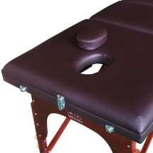 Массажный стол DFC NIRVANA Relax Pro TS3022_B1