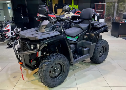 Квадроцикл АОДЕС PathCross 650L Basic EPS (ПСМ), фото 1