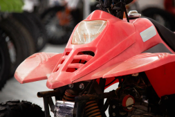 Квадроцикл IRBIS Dingo 50s, фото 6 Квадроцикл IRBIS Dingo 50s, фото 6