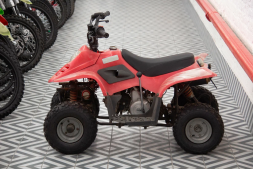 Квадроцикл IRBIS Dingo 50s, фото 4 Квадроцикл IRBIS Dingo 50s, фото 4