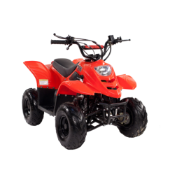 Квадроцикл IRBIS Dingo 50s, фото 2 Квадроцикл IRBIS Dingo 50s, фото 2